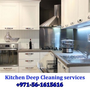 Kitchen Deep Cleaning Services